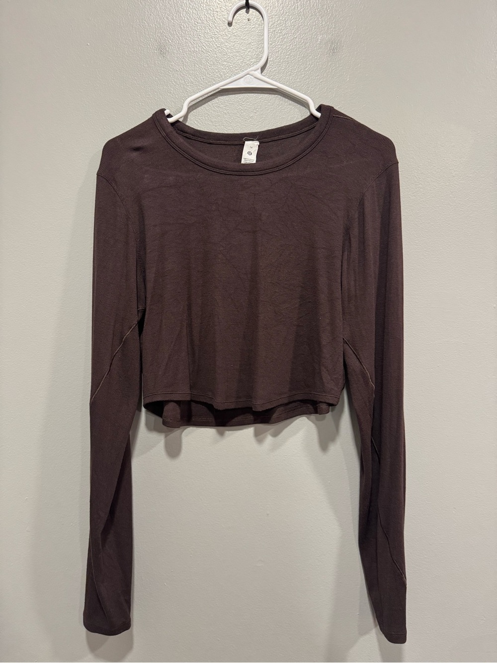 Long Sleeve Cropped Tee - Brown